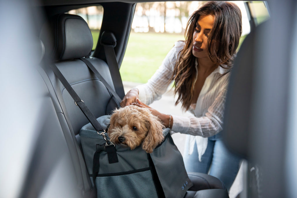 Whole pet fashion carriers