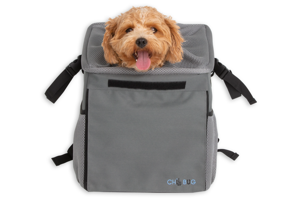 All In One Pet Carrier Bag Dog Bike Basket Backpack for Dogs